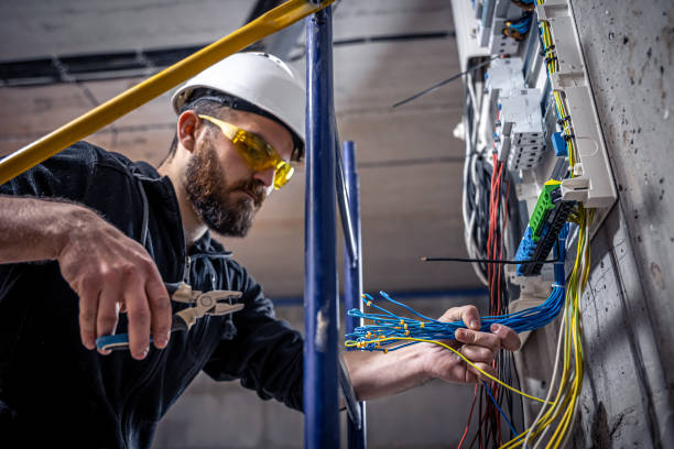 Best Local Electrician Companies  in Springfield, MN