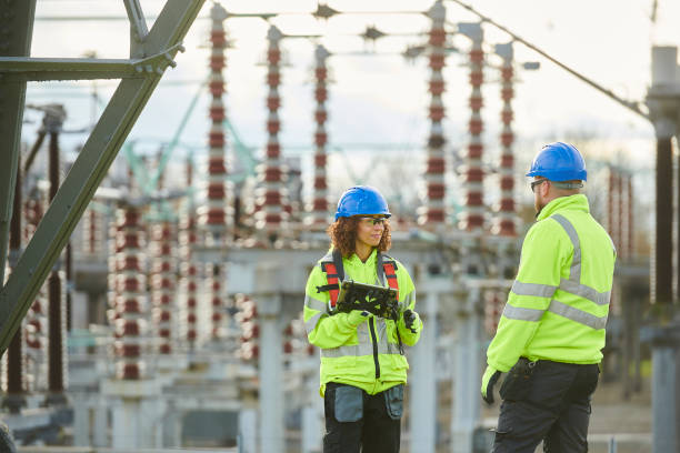 Best Affordable Electrician  in Springfield, MN